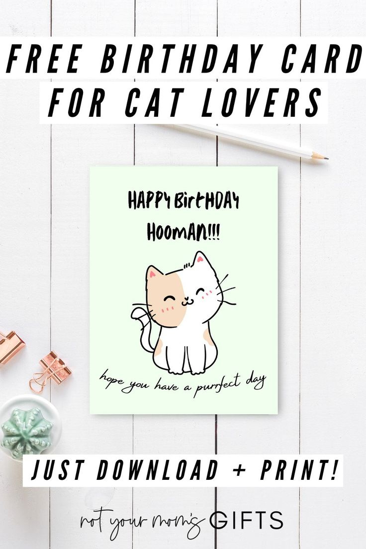 Free Birthday Card For Cat Lovers | Not Your Mom&amp;#039;S Gifts intended for Cat Birthday Cards Free Printable