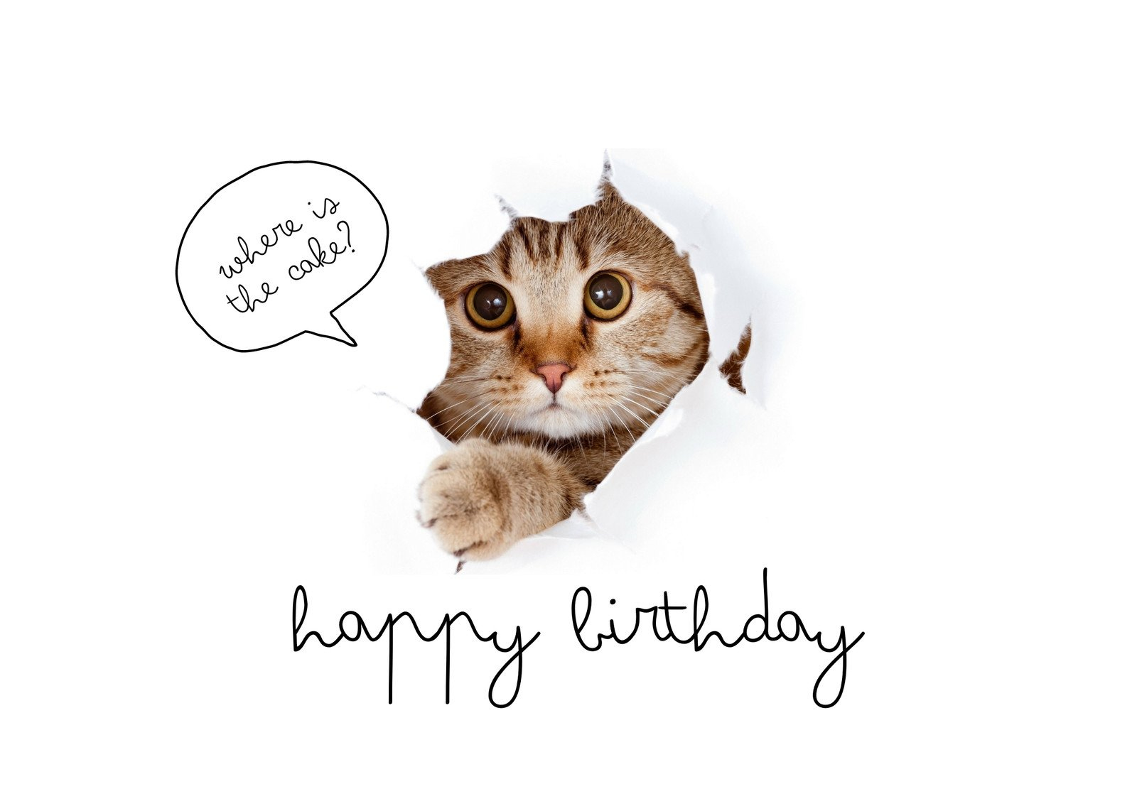 Free, Customizable, Printable Cat Card Templates | Canva for Printable Cat Birthday Cards