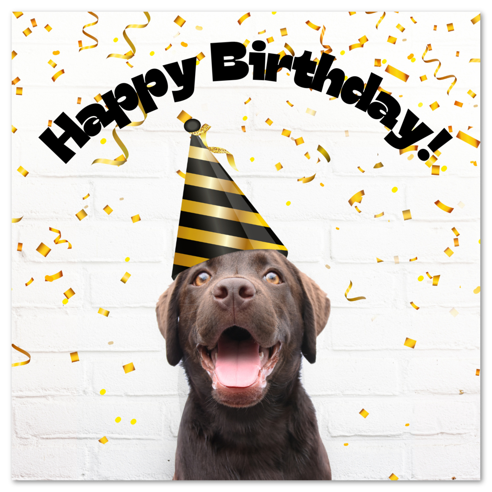 Free Printable Birthday Cards for Printable Dog Birthday Cards