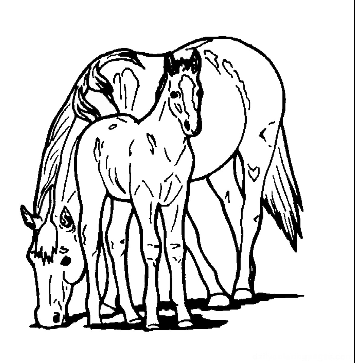 Horse Coloring Pages – Birthday Printable regarding Horse Birthday Cards Free Printable