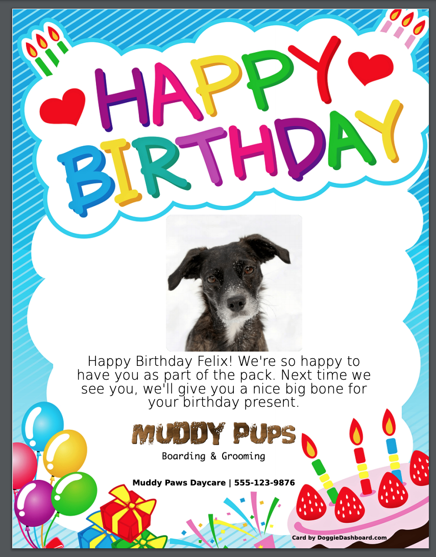 Online Pet Birthday Card Generator &amp;amp; Pet Birthday Card Template in Printable Birthday Card From Dog to Owner