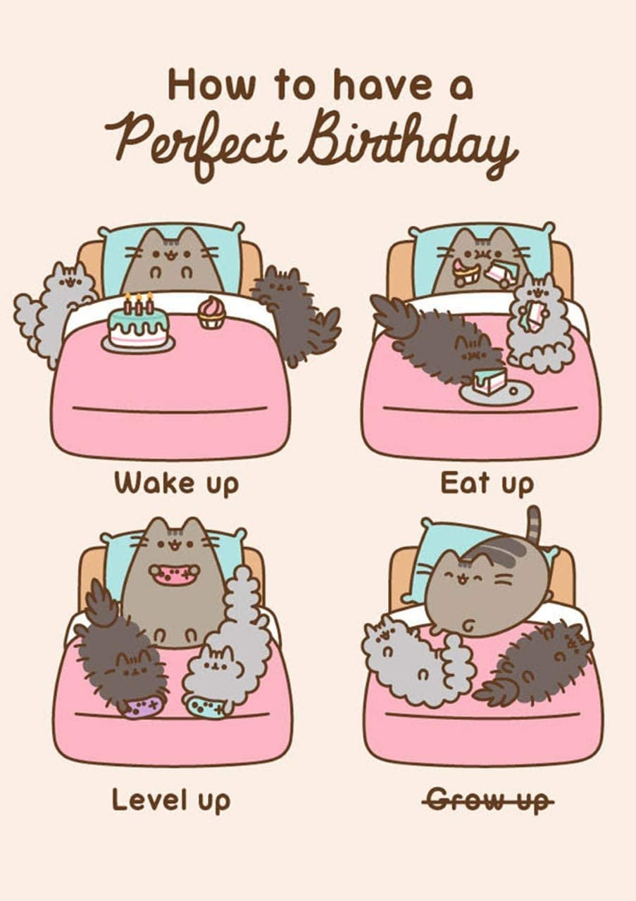 Pusheen The Cat - How To Have A Perfect Birthday - Blank Birthday Card for Pusheen Birthday Card Printable