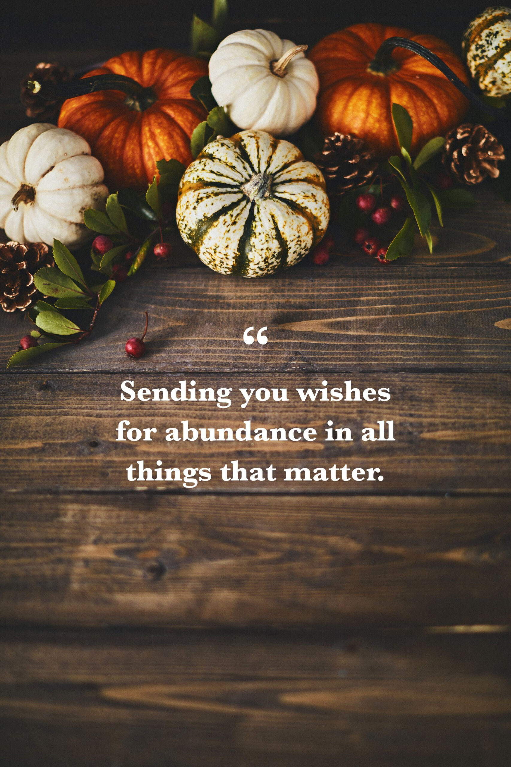 45 Thanksgiving Greetings And Messages To Send Family And Friends inside What to Say in a Thanksgiving Cards?