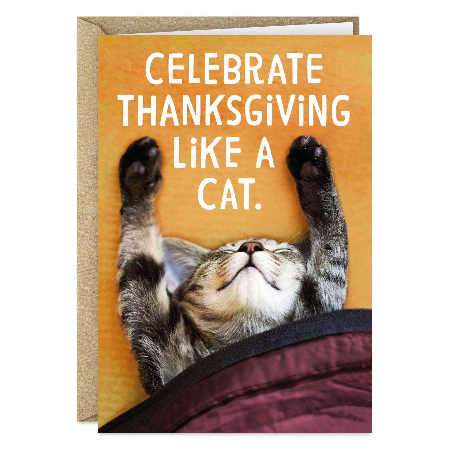 Celebrate Like A Cat Funny Thanksgiving Card - Greeting Cards for Cat Thanksgiving Cards