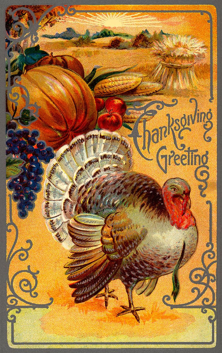 Pulling The Wishbone within Old Fashioned Thanksgiving Cards