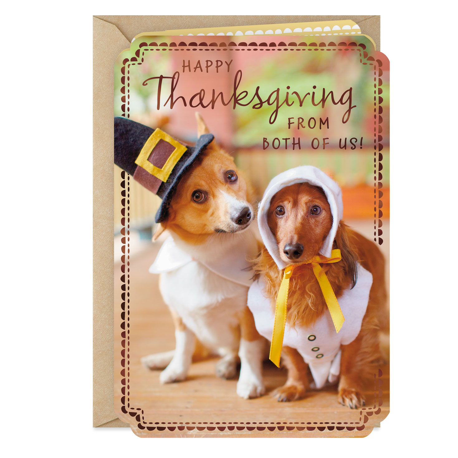 Two Pilgrim Dogs Thanksgiving Card From Both - Greeting Cards pertaining to Thanksgiving Cards With Dogs