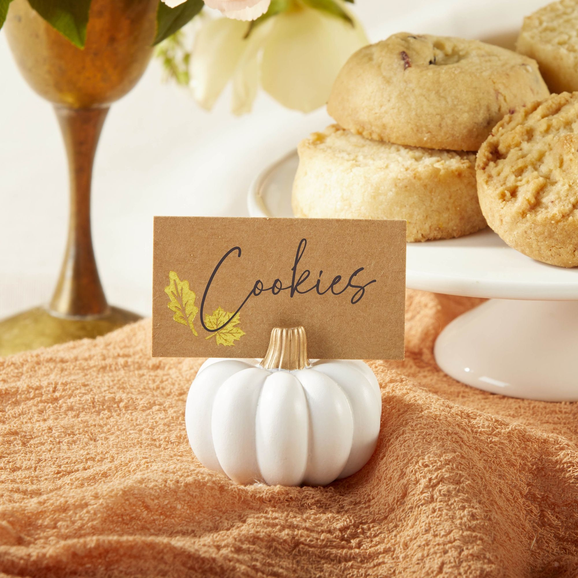 White Pumpkin Place Card Holder With Diy Place Cards (Set Of 12) with Place Cards Holders For Thanksgiving