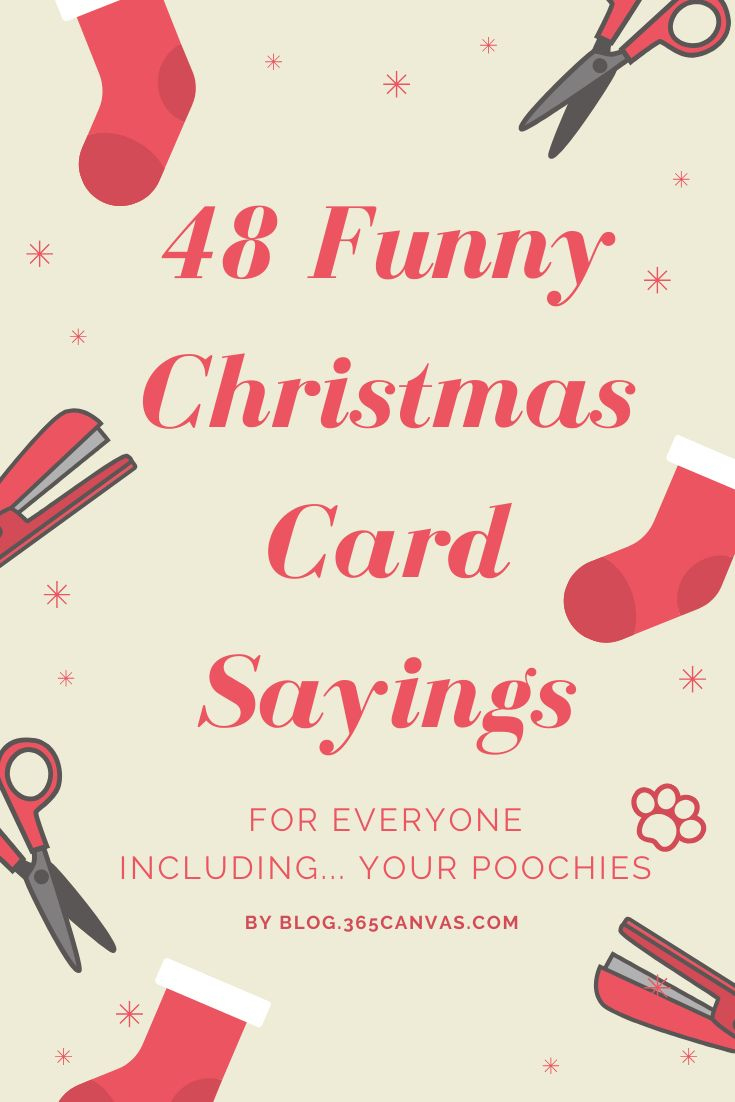 80 Funny Christmas Holiday Card Sayings For Family, Friends for Funny Christmas Cards Sayings