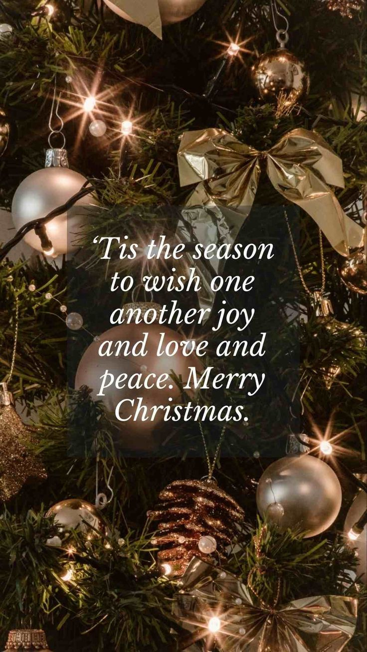 Christmas Biblical Quotes Verses Sayings Words Friends Families throughout Christmas Cards Bible Quotes