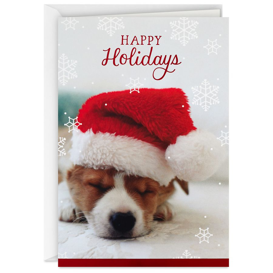 Hallmark Boxed Christmas Cards, Santa Puppy Holiday Dreams B03 inside Christmas Cards Photo Walgreens