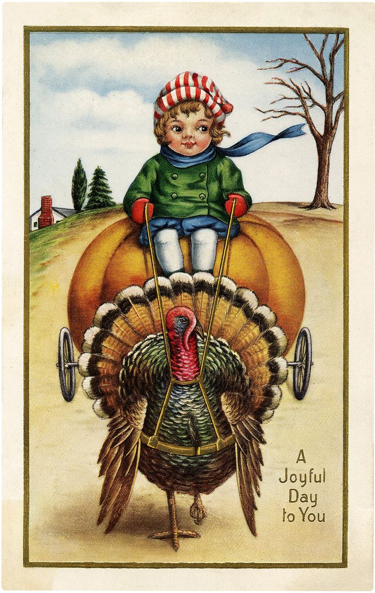 10 Funny Thanksgiving Pictures Free! intended for Free Funny Thanksgiving Cards