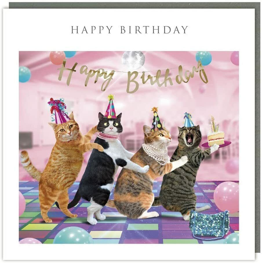 Funny Cats Conga Happy Birthday Card – Humorous Party Animals throughout Free Printable Father&amp;amp;#039;s Day Cards From Cats