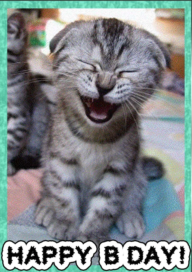 Cat Printable Birthday Cards Cat Printable Birthday Cards