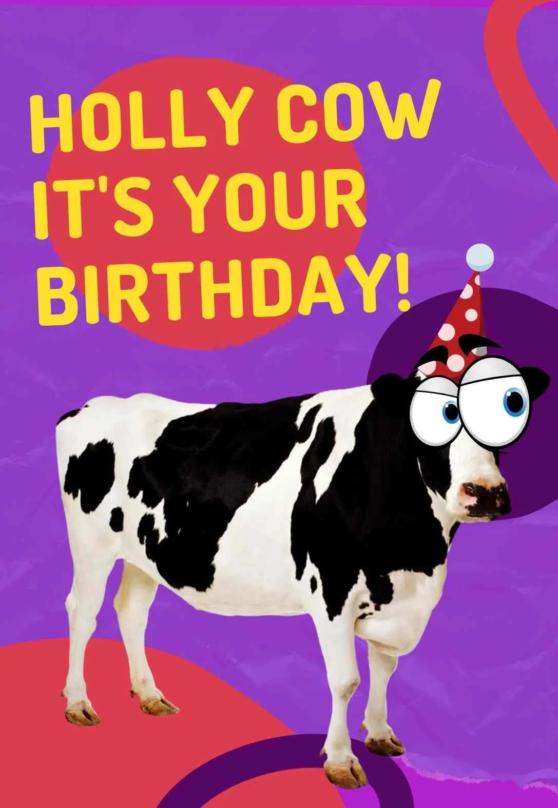 Cow Printable Birthday Cards Cow Printable Birthday Cards