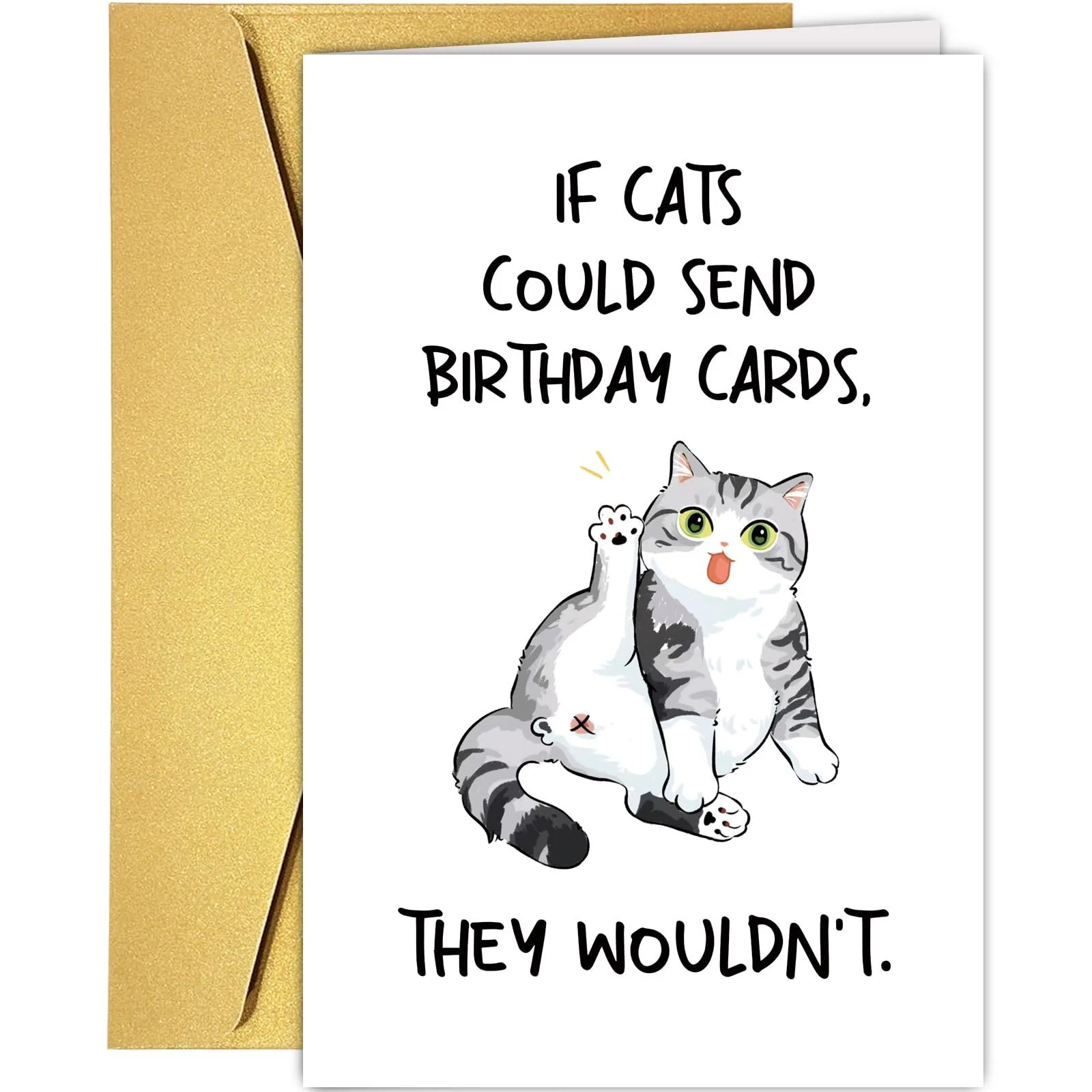 Funny Cat Birthday Card Blank Inside With Envelope Perfect For Cat Lovers And Humorous Celebrations Funny Cat Birthday Card Blank Inside With Envelope Perfect For Cat Lovers And Humorous Celebrations