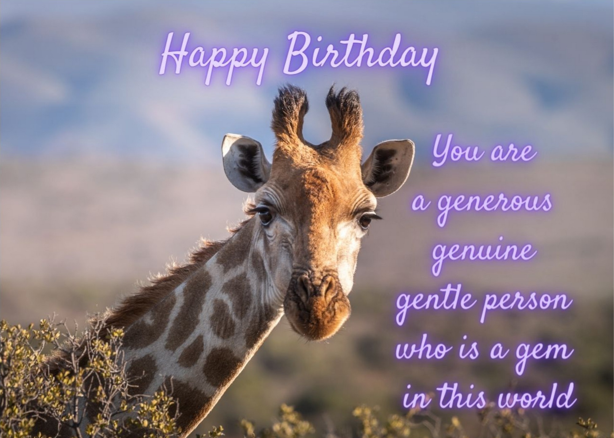 Giraffe Birthday Card Printable Giraffe Birthday Card Printable